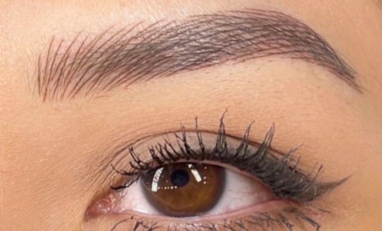 Close-up of eye makeup showing defined brown eyeshadow, winged eyeliner, dark eyebrows, and mascara on black lashes