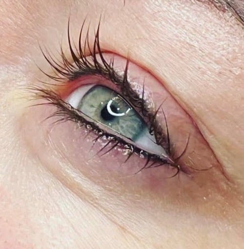 Close-up of eye makeup featuring green eyeshadow, pink and red tones, black eyeliner, and dramatic black lashes