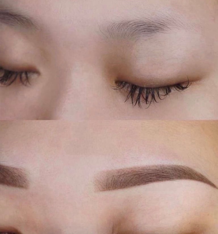 Ombre powder brown permanent eyebrows — soft gradient shaded brow from light front to rich brown tail at CC Styling Studio in Bradenton, FL